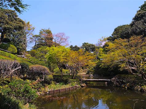 東京 龍脈|池田山公園 